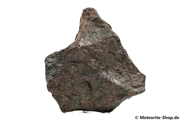 Canyon Diablo Meteorit - 81,00 g